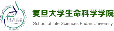 betway必威西汉姆联官方网站